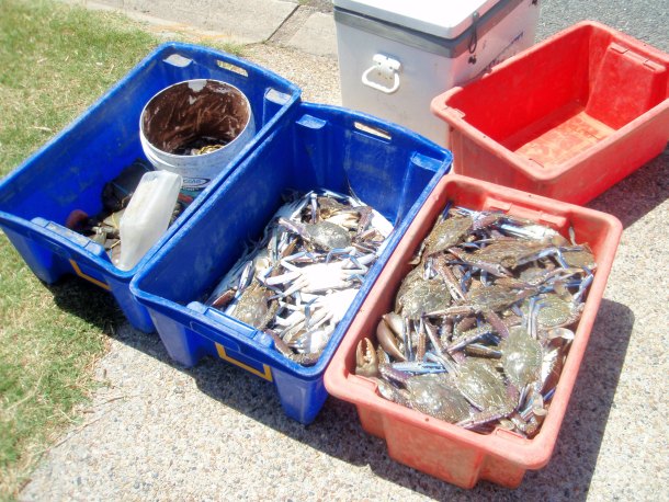 Black market crabbers to shell out $32000 in fines